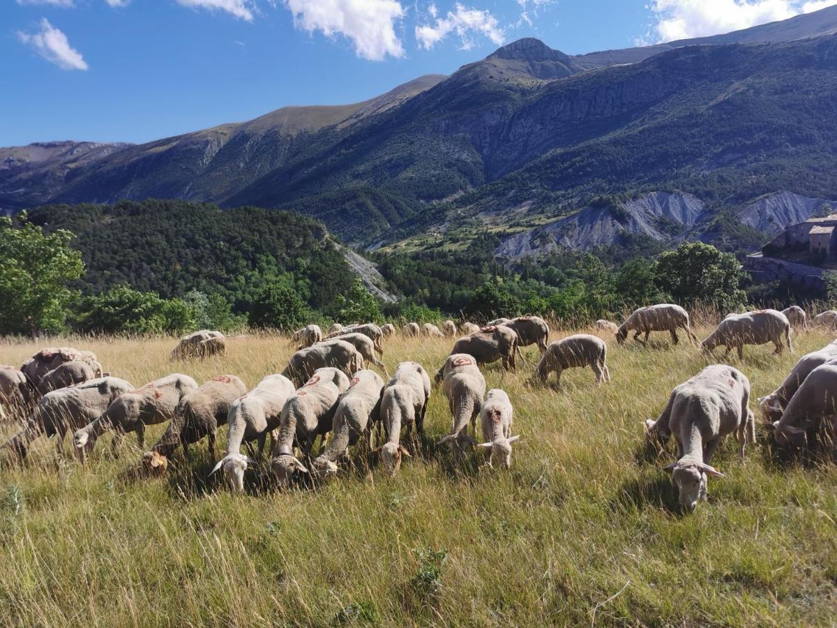 La Peyregoune, logement en pleine nature Blieux Extérieur photo